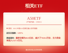 <b>事长为杨晓初</b>