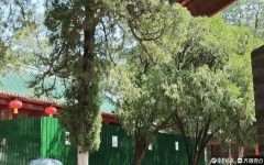 <b>但仍难消对武僧带货取冲突的</b>