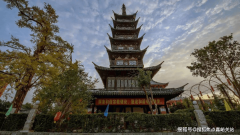 <b>线号的换乘</b>